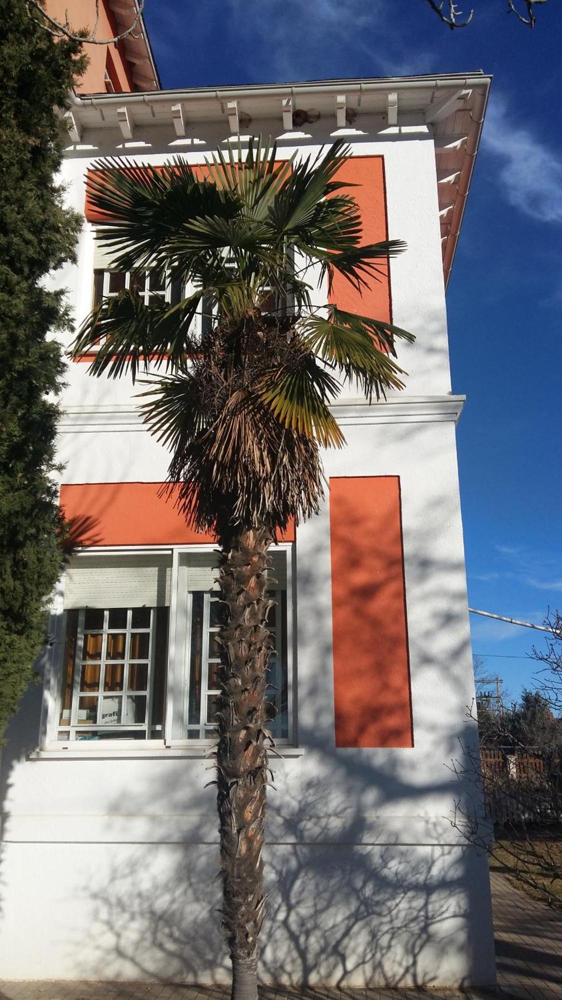 La Casa Grande De Gormaz Villa Quintanas de Gormaz Luaran gambar